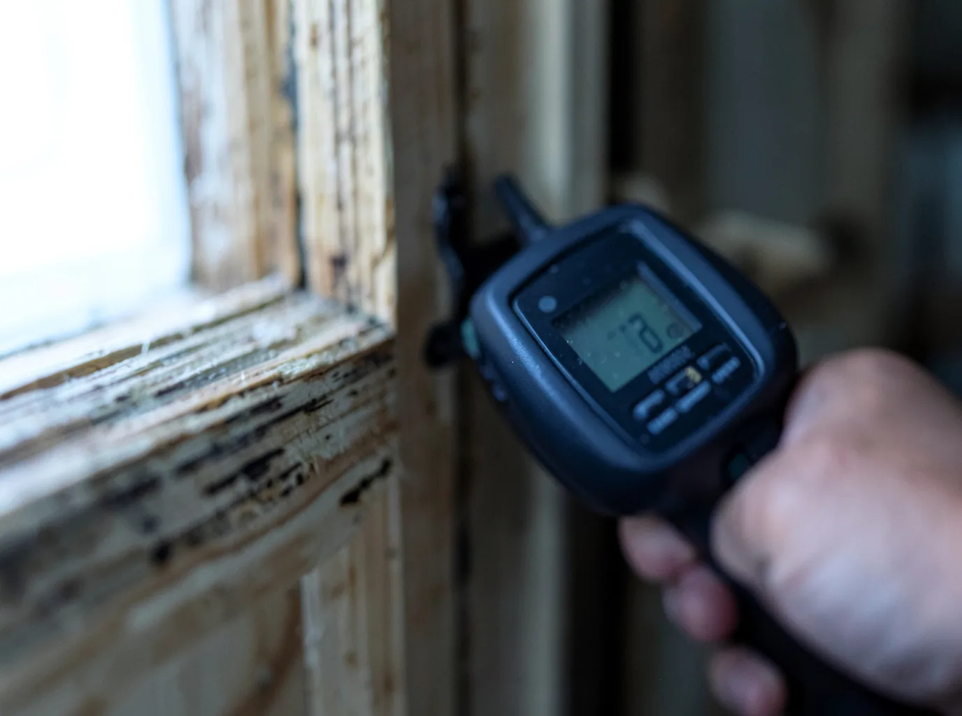 Commercial Water Damage Restoration in Winlock, WA